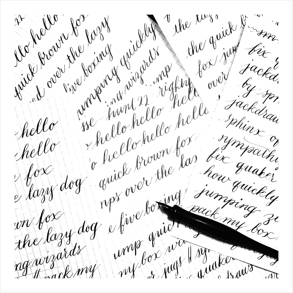 i still love calligraphy // pointed pen assignments