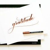 In action: Koi coloring brush