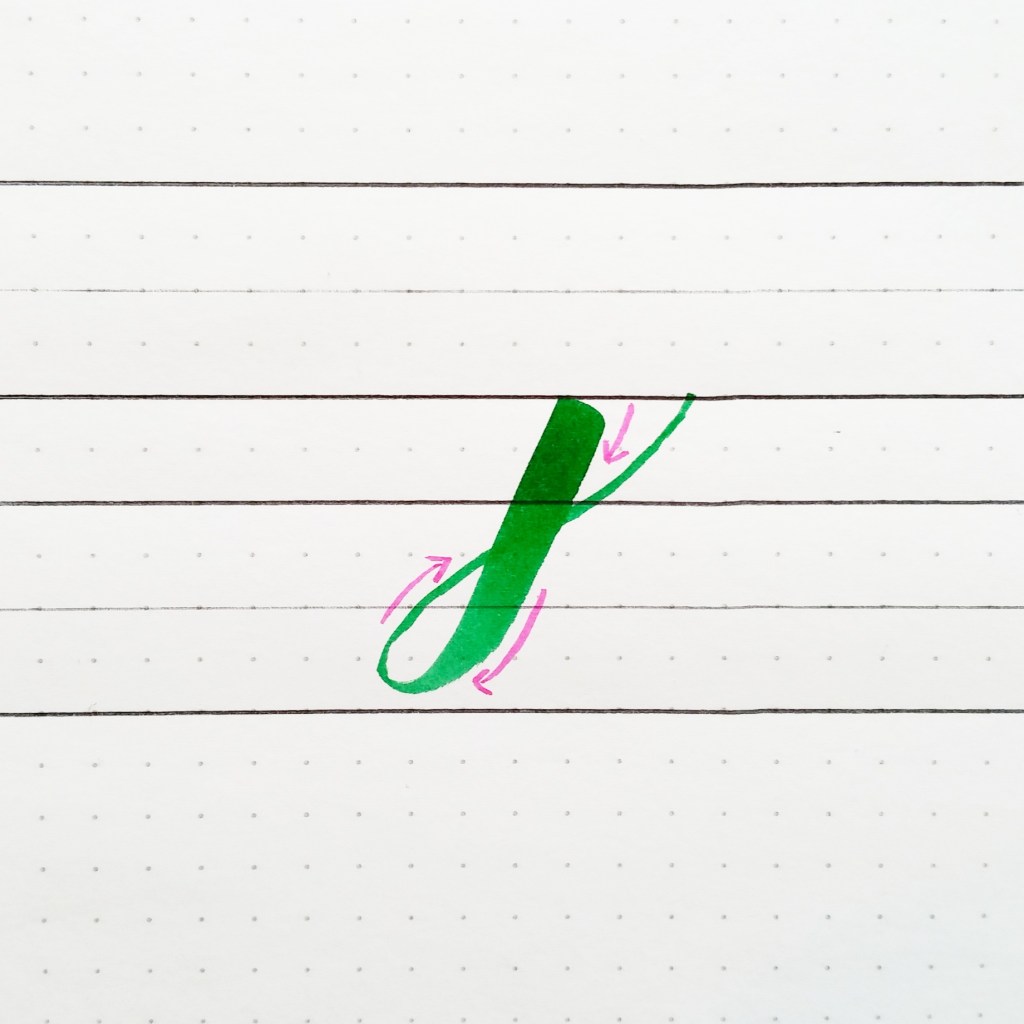 basic strokes: descending stem loop