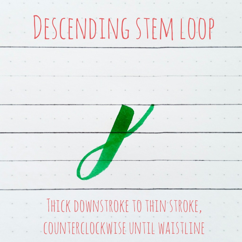 basic strokes: descending stem loop